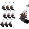 CARALL 10 Pezzi Lampada Alogena 12V Per Auto (HB4 9006 12V 55W P22d)