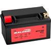 Generico BATTERIA GEL MALOSS I YTZ10S MTZ10S T-MAX 500 2008 2009 2010 2011 ADV 350 2021 2022 2023 2024 FORZA 300 2018 2019 2020