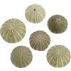 Abaodam 6Pezzi Pz Gusci Ricci Mare Naturali per Decorazioni Portapiante ad Aria Decorazioni da Spiaggia e Matrimoni Vasi Decorativi per Crafting e Decorazioni