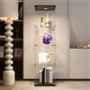 DGCZYXGL Vetrina in vetro,Vetrina in vetro a 4 strati con LED,vetrina in vetro per soggiorno, trasparente armadio in vetro con LED e porte, vetrina da collezione, nero