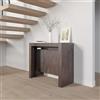VE.CA.s.r.l. VE.CA - Tavolo Allungabile Mercurio, Made in Italy - Console Allungabile con Porta Prolunghe fino a 3 Metri, 14 Posti Noce - Moderno da Sala da Pranzo (14 Posti, Noce)