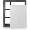 Web Convenienza Madia con 2 Ante Made in Italy - Credenza Contenitore Collezione Hamburg per Soggiorno Cucina Ingresso Sala da Pranzo Mobile Design moderno originale Bianco Lucido e Ossido