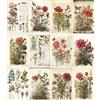 Craft Kreatively Botanical Pages Rice Paper, 8 x 10.5 inch - for Decoupage Cards Journal Crafts