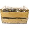 Aurora Store Cassetta 4 kg Sughero INNEVATO Corteccia presepe Box Pezzi Assortiti Varie Misure per presepio Napoletano casolari Decorazione