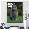 SHUIYAZI Diamond Painting kit Completo, gatto grigio Pittura Diamante per Adulti Bambini Fai Da Te Diamond Painting Kit 5D Full Pittura Mosaico Con Diamantini per Casa E Pareti Decorazione-Round drill,40x50cm