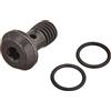 SHIMANO Vite Banjo + guarnizione BR-M8100 Accessori Bicicletta, Adulti Unisex, Multicolore (Multicolore), M8100