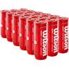 Wilson Padel X3 Box (24 Tubi da 3 Palline)