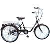 P2R (Cycle) Triciclo Adulto 24 Nero 5 Marce con Cestino Peso Totale Max 100kgs Interasse 0,80m - Omologazione nf30020