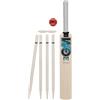 Gunn & Moore GM Young Gunn Cricket Set | Diamond | Cricket Bat, Soft Ball, Batting Gloves, Stumps & Bail and Carry Bag | Size 1, 3 or 5