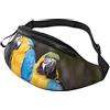 QQLADY Marsupio per pappagalli per uomo donna marsupio cintura regolabile casual marsupio marsupio per viaggi sport corsa escursionismo marsupio marsupio, Nero , Taglia unica
