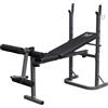 GYRONETICS® Panca Pesi - con Porta Bilanciere, Multifunzione, Regolabile, Pieghevole, Max. 220kg, in Acciaio - Panca Piana, Palestra, Allenamento, Addominali, Sollevamento Pesi, Fitness, Casa