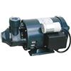 Lowara elettrico pm 40