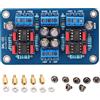 YWBL-WH Scheda Preamplificatore SSM2141 Bilanciata/Sbilanciata 12-15V per Upgrade Amplificatori Audio Professionali