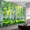 Generico Murale da Parete 3D Pittura Di Paesaggi Foresta Di Betulle Prato Carta da Parati Fotografica, Verde Murale da Parete in Tessuto Non Tessuto Poster Decorativo Design Moderno 500x280cm (LxA)