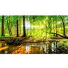 murando Carta da parati Foresta Verde 500x280 cm Fotomurali in TNT Murale alla moda Decorazione da Muro XXL Poster Gigante Design Carta per pareti Natura Albero verde Paesaggio Sole c-B-0241-a-b