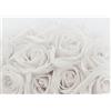 Runa Art Carta da parati fotografica fiori rose 352 x 250 cm Vello Sfondo Murale XXL Moderne Decorazione Soggiorno Camera De Letto Sala Ufficio Grigio 9258011c
