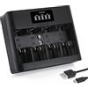 Tenergy TN486U 5-Bay Universal Battery Charger with LCD, Micro USB/Type C Input, for AA, AAA, C, D, and 9V Rechargeable Batteries
