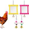 Generico Specchio Giochi per Galline | Arricchimento per Pollaio con Gioco Becchettio e Specchio | Accessori Sicuri Multifunzionali per Ridurre la Noia del Pollame in Spazi Esterni Cortile e Giardino