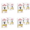 Royal Canin Veterinary Urinary S/O Mousse per gatti | Confezione da 4 | 4 x 12 x 85 g | Alimento dietetico completo per gatti | Per la risoluzione e la riduzione di supporto dei calcoli di struvite