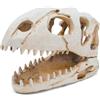 Kocris Casa Dinosauro animale teschio acquario grande decorazione grotta decorazioni per pesci nascondiglio serbatoio Betta tarantola rettile serpente per terrario decorazione ossa Halloween
