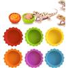 Meow&Woof 6 tazze per cibo e acqua a forma di geco crestato, piatto per cibo per rettili, ciotola per acqua colorata per acquari di drago barbuto, accessori per tartarughe, granchi e piccoli animali