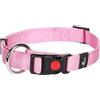 Flamingo - Collare Ziggi Rosa per Cani di Taglia Media (es. Cocker Spaniel) M 40-55 cm, 20 mm - Eleganza e Comfort per il Tuo Cane!