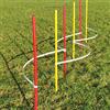 Wuzzmann Agility - Slalom - Set da allenamento con archi a slaloma, con aste a slalom, colore: rosso/giallo