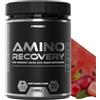 Prozis Amino Recovery 420 g- post workout post allenamento recupero muscolare: Aminoacidi 8.1.1, Vitamine, creatina, l-glutammina, Taurina (420 grammi, frutta mista)