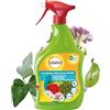 Solabiol Insetticida Abbattente PFnPO, Biologico 2in1 a base di Piretro e olio di colza. Pronto Uso. Elimina afidi, mosca bianca, cicaline, tripidi, cocciniglie, larve di lepidotteri, coleotteri. 1L