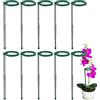 Weqizuerqi Bastoncini di supporto per piante - Paletti estensibili per piante in vaso, supporto per fiori rampicanti con clip per giardinaggio verdure, fagioli, peperoni, pomodori, orchidee