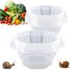 Generic Collari per piante - Campane da giardino per piante, 20 pezzi, collare protettivo per lumache e lumache, protezione per piante da giardino, per ortaggi, insalata, piantine, piantine, coltivazione
