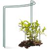 Novatool - 2 supporti per arbusti, semicircolare, 35 x 40 cm, colore: Verde