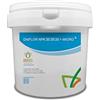 Bioges DAIFLOR NPK 20.20.20 CONCIME FOGLIARE + MICROELEMENTI 2,5 kg