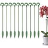 Generico Supporto per bastoncini vegetali,Confezione da 10 picchetti per piante di supporto per piante - Supporto per piante Supporto per vasi da fiori Traliccio rampicante per piccole piante Phalaenopsis di f