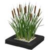 vdvelde.com vdvelde - Isola Galleggiante per Laghetto con Tifa - Set Piante Acquatiche con 4x Typha latifolia - Set Completo con Cestello, Substrato & Fertilizzante - Isola Galleggiante