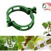 CLRZOL Clip di sicurezza in plastica per piante, clip di supporto per piante riutilizzabili per il giardino, clip di fissaggio per piante pomodori, clip di supporto per tralicci in plastica (Verde 100 PC)