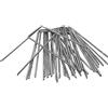 Setaria Viridis - Picchetti da giardino, 20 pezzi, 10 cm, zincati per giardino, picchetti da giardino, picchetti da terra, picchetti per unghie, per prato, in tessuto, tipo U (20 pezzi da 40 mm)
