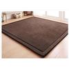 Loartee Coral Velvet Tappetino Area tappeti Gioco Tappetino per Gattonare per la cameretta del Bambino,caffè,150x200cm