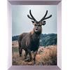 Rahmendesign24 Cornice Portafoto Milano 42 x 59,4 cm (DIN A2) Argento (alta lucentezza) Portafoto, Cornice intercambiabile, Portafoto, Portafoto per puzzle
