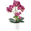 PASCH® Orchidee artificiali in vasi di ceramica lucida (46 cm), fiori artificiali in vaso, fiori artificiali come veri, orchidee artificiali in vaso (viola)