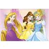 Procos Tovaglia principesse Disney, 120 x 180 cm