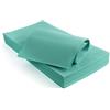 SOLEPLASTIC 100 Tovaglie Monouso Tessuto non Tessuto (100 x 100 cm) - 50 gr m/q Idrorepellenti - Tovaglia Usa e Getta per Ristoranti, Pub, Pizzeria, Catering e Uso Domestico (VERDE TIFFANY)