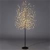 Magie di Natale Albero luminoso Faggio tronco lungo rami a microled luce calda da interno ed esterno (210 cm, Nero)
