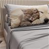 PETTI Artigiani Italiani - Lenzuola Animali con Gatti e Cani in Cotone con Federe in Stampa Digitale, Lenzuola Matrimoniali, Completo Letto Matrimoniale Grigio Chiaro, 100% Made in Italy
