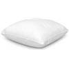 Tex family Imbottitura POLYFILL per Cuscino - Morbido Poliestere Siliconato - Rivestimento TNT - Forma Originale NON Sottovuoto - Made in Italy - Cm. 70x70