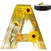 Generico Lettera luminosa notturna in resina, luce notturna con fiori secchi,Lampade con lettere fatte a mano - Lettere in resina con fiori pressati con lampade leggere e fatte a mano per madre, moglie, donne
