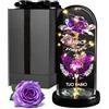 Maverton Rosa Stabilizzata con LED Personalizzata - Rosa Eterna nella Cupola di Vetro - Regalo Donna Compleanno Mamma Nonna Fidanzata Maestra - Regalo Anniversario Matrimonio