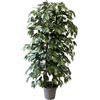 MY GARDEN MY E GARDEN - FIORI E PIANTE ARTIFICIALI Pianta Artificiale per Interno o Esterno, Pianta Ficus Benjamin Artificiale Decorativa, Pianta Finta Soggiorno Camera Cucina Salotto Ufficio