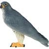 MOJO Wild Life Slechtvalk 381056