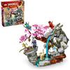 LEGO NINJAGO Dragon Stone Shrine, costruisci ed esponi giocattolo Ninja con 6 action figure Ninja, kit avanzato per costruire ninja, idea regalo di compleanno per ragazzi e ragazze dai 13 anni 71819